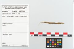 Etikett zu Textil (NHMW-PRAE-125701)